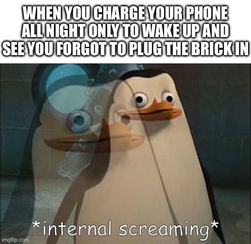 the pain | WHEN YOU CHARGE YOUR PHONE ALL NIGHT ONLY TO WAKE UP AND SEE YOU FORGOT TO PLUG THE BRICK IN | image tagged in private internal screaming,memes,relatable,funny,oh wow are you actually reading these tags | made w/ Imgflip meme maker