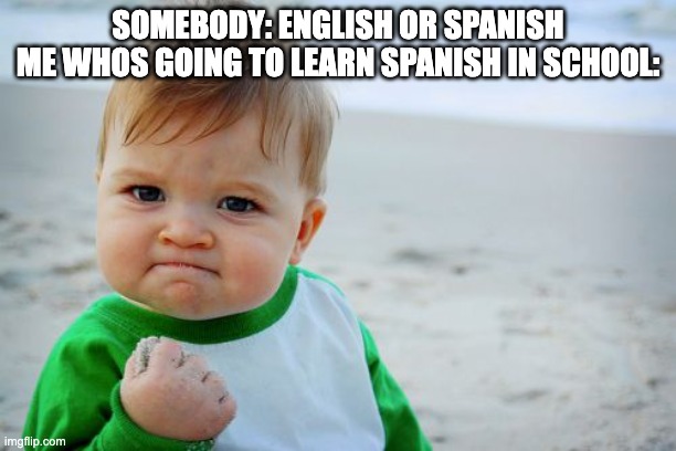 Success Kid Original | SOMEBODY: ENGLISH OR SPANISH
ME WHOS GOING TO LEARN SPANISH IN SCHOOL: | image tagged in memes,success kid original | made w/ Imgflip meme maker