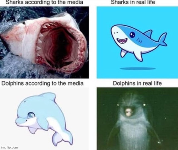 Knowledge is power. Power corrupts. | image tagged in memes,funny,animals,sharks,dolphins,yappy | made w/ Imgflip meme maker