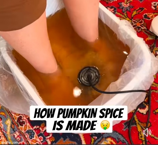 The origin of pumpkin spice | image tagged in funny memes,pumpkin spice,food | made w/ Imgflip meme maker