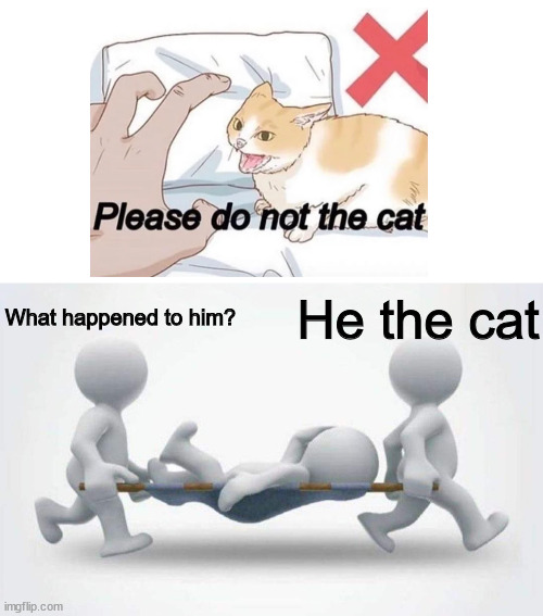 Wikihow meme | What happened to him? He the cat | image tagged in what happened to him,wikihow,please do not the cat,engrish | made w/ Imgflip meme maker