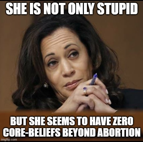 Kamala Harris  | SHE IS NOT ONLY STUPID; BUT SHE SEEMS TO HAVE ZERO CORE-BELIEFS BEYOND ABORTION | image tagged in kamala harris | made w/ Imgflip meme maker