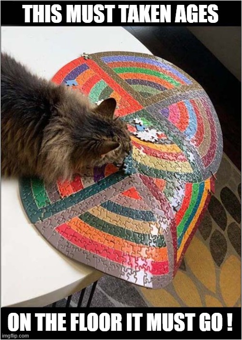 Cat Vs Jigsaw ! | THIS MUST TAKEN AGES; ON THE FLOOR IT MUST GO ! | image tagged in cats,jigsaw,floor | made w/ Imgflip meme maker