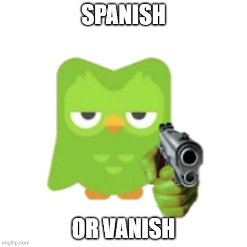 low quality meme | SPANISH; OR VANISH | image tagged in duolingo | made w/ Imgflip meme maker