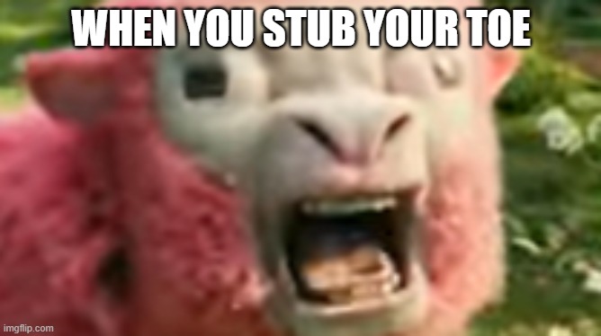 mojang why | WHEN YOU STUB YOUR TOE | image tagged in minecraft move,minecraft,sheep | made w/ Imgflip meme maker