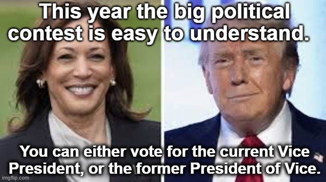 Vice president vs. Felon | This year the big political contest is easy to understand. You can either vote for the current Vice President, or the former President of Vice. | image tagged in presidential race,trump,kamala harris,nevertrump meme,maga,i love democracy | made w/ Imgflip meme maker