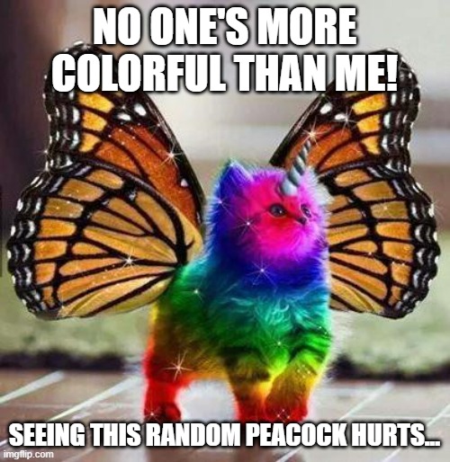 Rainbow unicorn butterfly kitten | NO ONE'S MORE COLORFUL THAN ME! SEEING THIS RANDOM PEACOCK HURTS... | image tagged in rainbow unicorn butterfly kitten | made w/ Imgflip meme maker