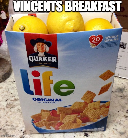 vincent's breakfast | VINCENTS BREAKFAST | image tagged in when life gives you lemons,memes,dead plate,vincent,funny,lemons | made w/ Imgflip meme maker