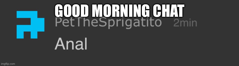 Pet anal | GOOD MORNING CHAT | image tagged in pet anal | made w/ Imgflip meme maker