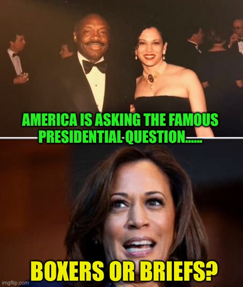 Silent Comrade | AMERICA IS ASKING THE FAMOUS PRESIDENTIAL QUESTION...... BOXERS OR BRIEFS? | image tagged in gifs,kamala harris,democrats,incompetence,radical | made w/ Imgflip meme maker