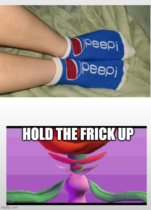 Bootleg pepsi socks. | HOLD THE FRICK UP | image tagged in gray background,bootleg,you had one job,you had one job just the one | made w/ Imgflip meme maker