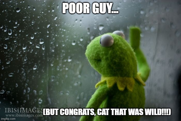 kermit window | POOR GUY... (BUT CONGRATS, CAT THAT WAS WILD!!!) | image tagged in kermit window | made w/ Imgflip meme maker