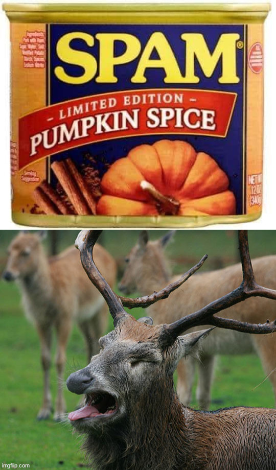 Spam is bad enough and then you pumpkin it | image tagged in cursed image | made w/ Imgflip meme maker