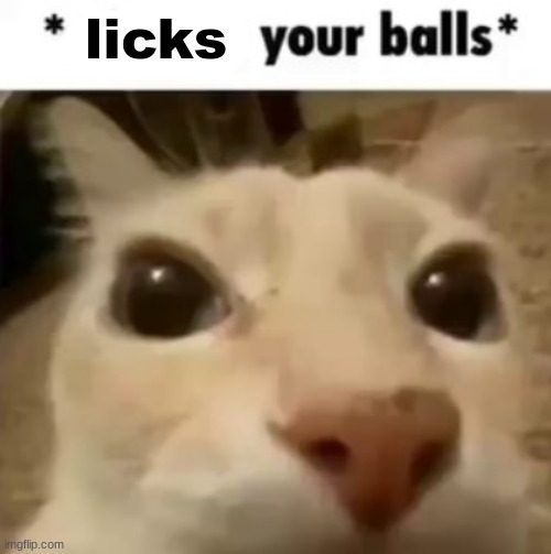 licks your balls | licks | image tagged in x your balls | made w/ Imgflip meme maker