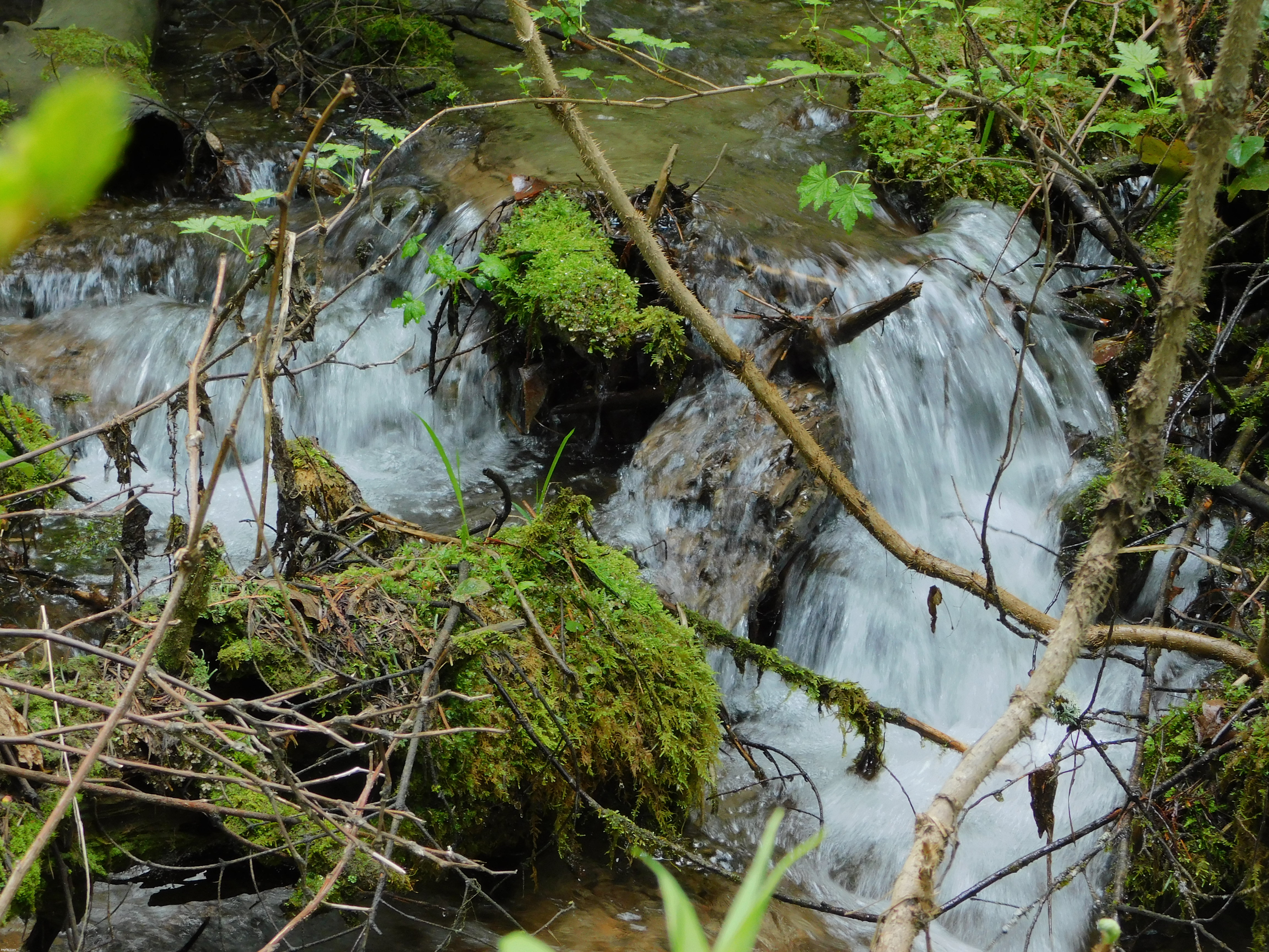 Stream on a recent walk | image tagged in photos | made w/ Imgflip meme maker