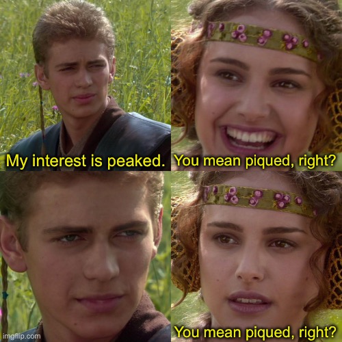 Anakin Padme 4 Panel | My interest is peaked. You mean piqued, right? You mean piqued, right? | image tagged in anakin padme 4 panel | made w/ Imgflip meme maker