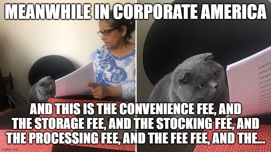 Meanwhile in corporate America | MEANWHILE IN CORPORATE AMERICA; AND THIS IS THE CONVENIENCE FEE, AND THE STORAGE FEE, AND THE STOCKING FEE, AND THE PROCESSING FEE, AND THE FEE FEE, AND THE... | image tagged in women showing cat papers | made w/ Imgflip meme maker