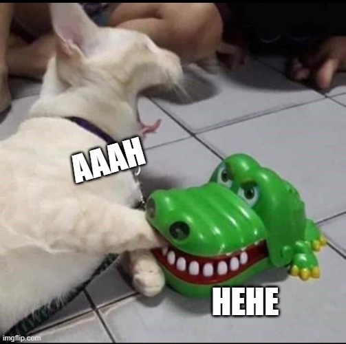 Cat bitten by toy alligator | AAAH HEHE | image tagged in cat bitten by toy alligator | made w/ Imgflip meme maker