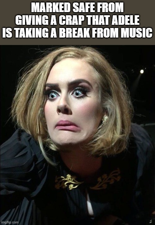 Adele Taking A Break From Music | MARKED SAFE FROM GIVING A CRAP THAT ADELE IS TAKING A BREAK FROM MUSIC | image tagged in adele,music,adele music,marked safe from,funny,memes | made w/ Imgflip meme maker