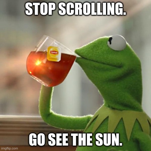 wait never mind I forgot what the sun is | STOP SCROLLING. GO SEE THE SUN. | image tagged in memes,but that's none of my business,kermit the frog | made w/ Imgflip meme maker