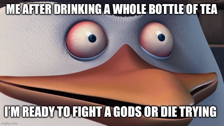 Penguins of madagascar skipper red eyes | ME AFTER DRINKING A WHOLE BOTTLE OF TEA; I’M READY TO FIGHT A GODS OR DIE TRYING | image tagged in penguins of madagascar skipper red eyes | made w/ Imgflip meme maker