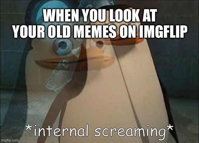 PLEASE DONT, IM NOT LIKE OTHER PEOPLE, MY USERNAME IS NOT LYING | WHEN YOU LOOK AT YOUR OLD MEMES ON IMGFLIP | image tagged in private internal screaming | made w/ Imgflip meme maker