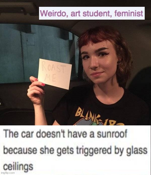 Glass ceiling | image tagged in insults | made w/ Imgflip meme maker