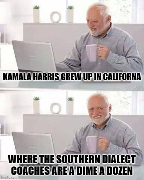 Then all of a Sudden, Southern Dialect | KAMALA HARRIS GREW UP IN CALIFORNA; WHERE THE SOUTHERN DIALECT COACHES ARE A DIME A DOZEN | image tagged in memes,hide the pain harold | made w/ Imgflip meme maker