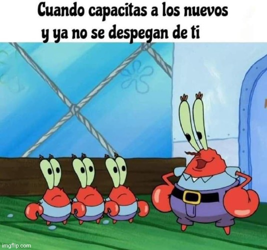 92e6ro.jpg