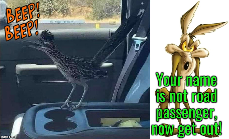 Running over coyote in a truck | Your name is not road passenger, now get out! | image tagged in wile e coyote,road runner | made w/ Imgflip meme maker