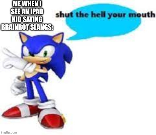 Shut the hell your mouth | ME WHEN I SEE AN IPAD KID SAYING BRAINROT SLANGS: | image tagged in shut the hell your mouth | made w/ Imgflip meme maker