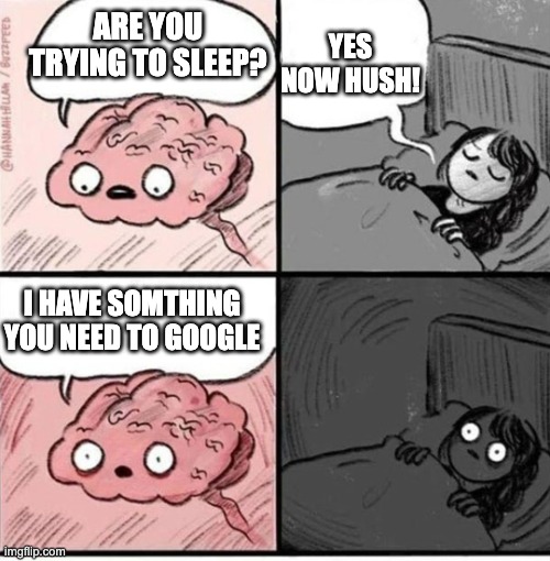 trying to sleep whenu have a question that needs to be googled | YES NOW HUSH! ARE YOU TRYING TO SLEEP? I HAVE SOMTHING YOU NEED TO GOOGLE | image tagged in trying to sleep,funny,memes,google,relatable,sleep | made w/ Imgflip meme maker