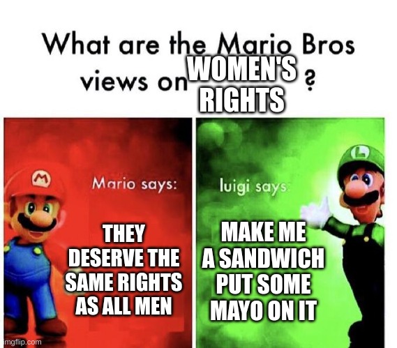 Mario Bros Views | WOMEN'S RIGHTS; THEY DESERVE THE SAME RIGHTS AS ALL MEN; MAKE ME A SANDWICH PUT SOME MAYO ON IT | image tagged in mario bros views | made w/ Imgflip meme maker