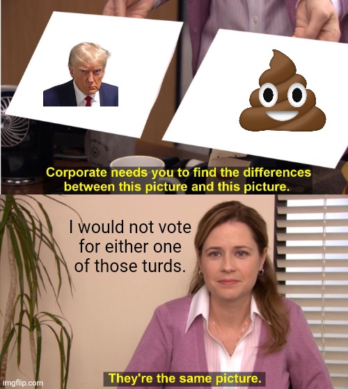 They're The Same Picture Meme | I would not vote
for either one
of those turds. | image tagged in memes,they're the same picture | made w/ Imgflip meme maker