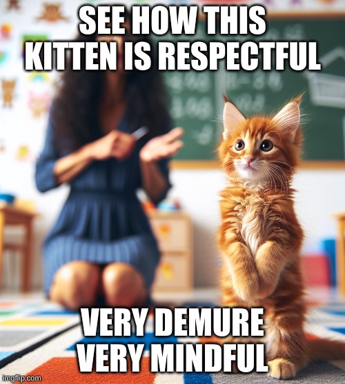 Kitten | SEE HOW THIS KITTEN IS RESPECTFUL; VERY DEMURE
VERY MINDFUL | image tagged in demure,mindful | made w/ Imgflip meme maker