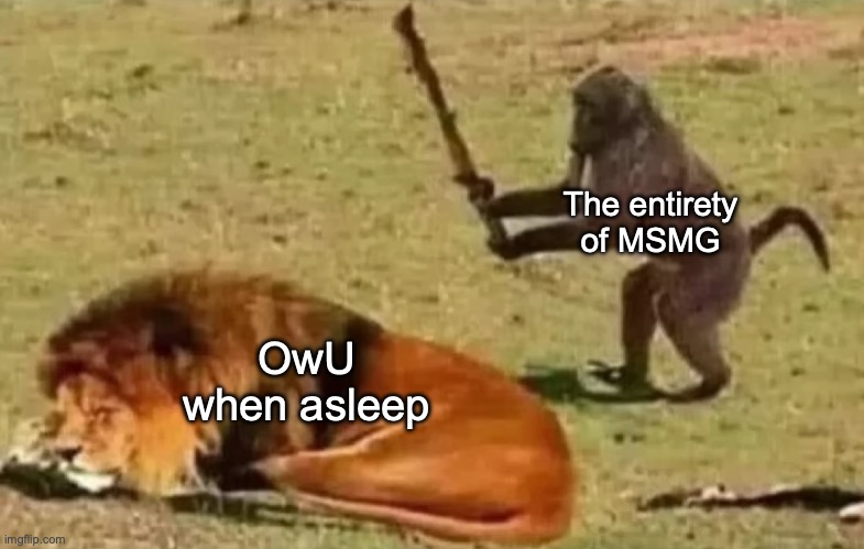 new fav temp ig | The entirety of MSMG; OwU when asleep | image tagged in monkey preparing to hit a lion | made w/ Imgflip meme maker