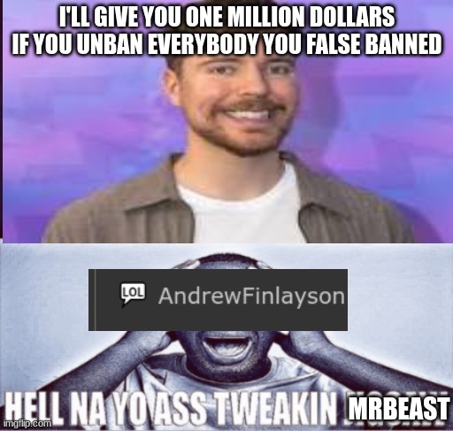 low quality grrr | I'LL GIVE YOU ONE MILLION DOLLARS IF YOU UNBAN EVERYBODY YOU FALSE BANNED; MRBEAST | image tagged in your final challenge | made w/ Imgflip meme maker