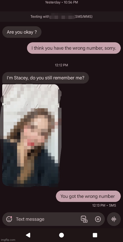 Who's this crazy bitch and why is her face 80% plastic | made w/ Imgflip meme maker