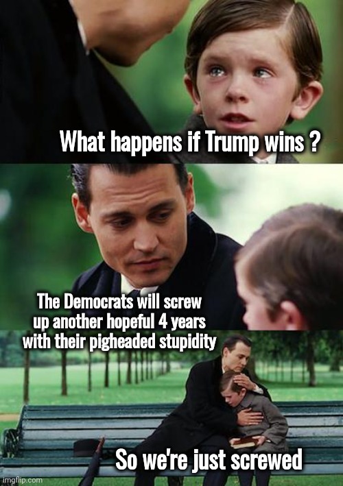 Can't help being cynical | What happens if Trump wins ? The Democrats will screw up another hopeful 4 years with their pigheaded stupidity; So we're just screwed | image tagged in finding neverland,hope and change,well yes but actually no,american politics,messed up,politicians suck | made w/ Imgflip meme maker