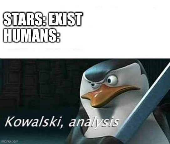 Since the Dawn of Man | STARS: EXIST
HUMANS: | image tagged in kowalski analysis | made w/ Imgflip meme maker