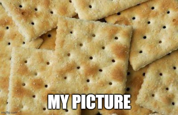 Crackers | MY PICTURE | image tagged in crackers | made w/ Imgflip meme maker