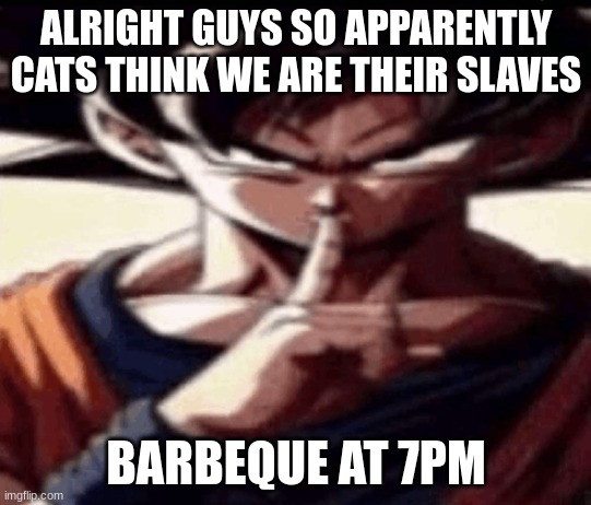 joke | ALRIGHT GUYS SO APPARENTLY CATS THINK WE ARE THEIR SLAVES; BARBEQUE AT 7PM | image tagged in goku hush | made w/ Imgflip meme maker