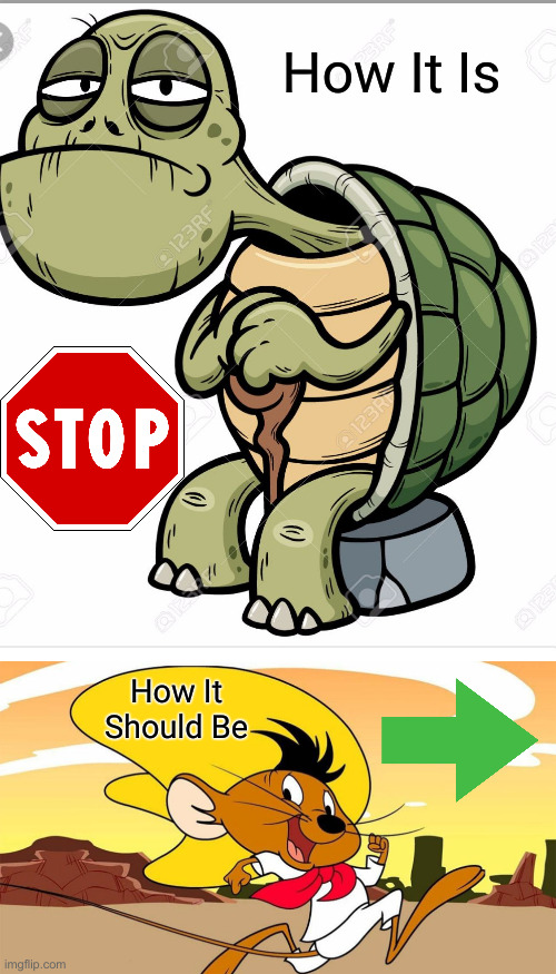 How It Is How It Should Be | image tagged in turtle,speedy gonzales | made w/ Imgflip meme maker