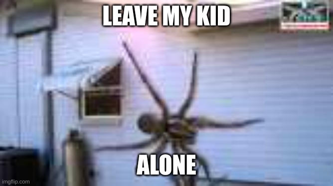 GIANT spider | LEAVE MY KID ALONE | image tagged in giant spider | made w/ Imgflip meme maker