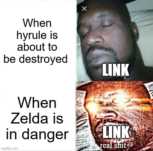 Link will rend your soul from your bones if you mess with zelda | When hyrule is about to be destroyed; LINK; When Zelda is in danger; LINK | image tagged in memes,sleeping shaq,link | made w/ Imgflip meme maker