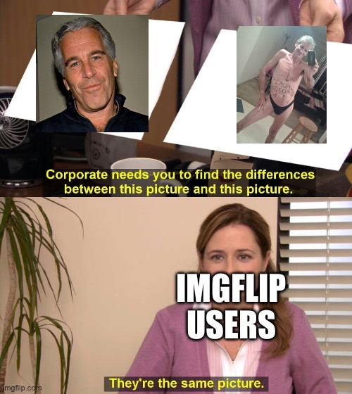 Both are old, named Jeffrey and are pdf files | IMGFLIP USERS | image tagged in they are the same picture | made w/ Imgflip meme maker