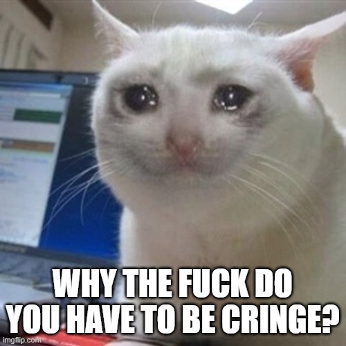 Crying cat | WHY THE FUCK DO YOU HAVE TO BE CRINGE? | image tagged in crying cat | made w/ Imgflip meme maker