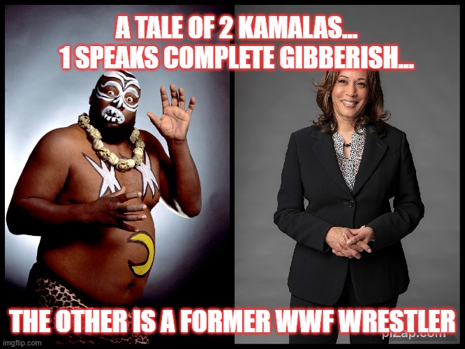 2 Kamalas | A TALE OF 2 KAMALAS... 1 SPEAKS COMPLETE GIBBERISH... THE OTHER IS A FORMER WWF WRESTLER | image tagged in politics suck | made w/ Imgflip meme maker