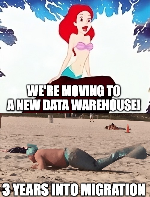 Mermaid | WE'RE MOVING TO A NEW DATA WAREHOUSE! 3 YEARS INTO MIGRATION | image tagged in expectation vs reality | made w/ Imgflip meme maker