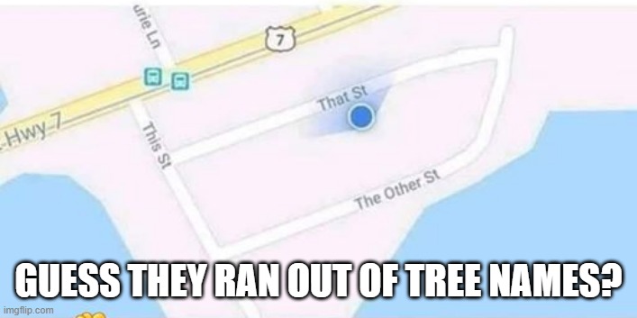 Name Those Streets | GUESS THEY RAN OUT OF TREE NAMES? | image tagged in you had one job | made w/ Imgflip meme maker